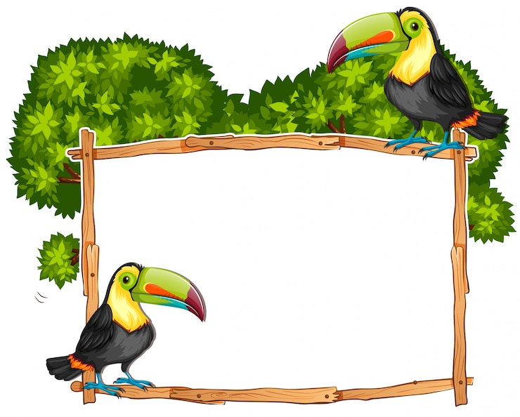 Vecteur gratuit modèle de frontière avec deux oiseaux toucan