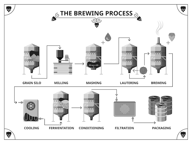 Vecteur gratuit modèle d'infographie du processus de production de la brasserie