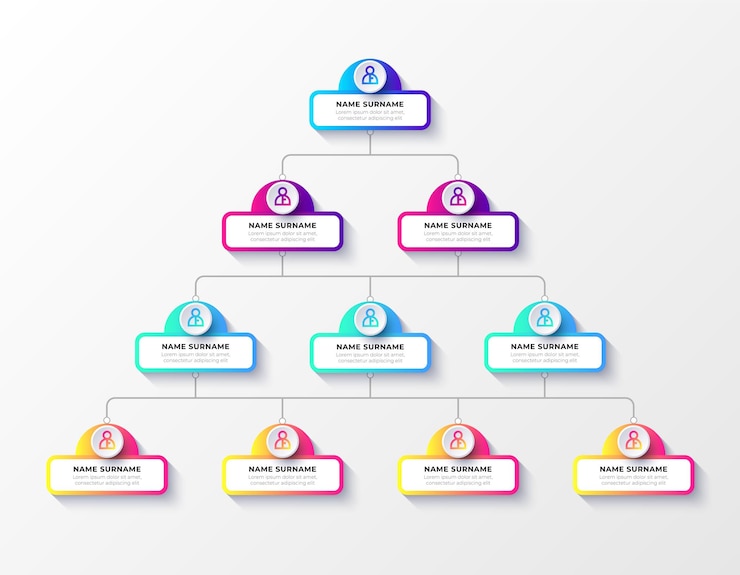 Vecteur gratuit modèle d'infographie d'entreprise d'organigramme dégradé