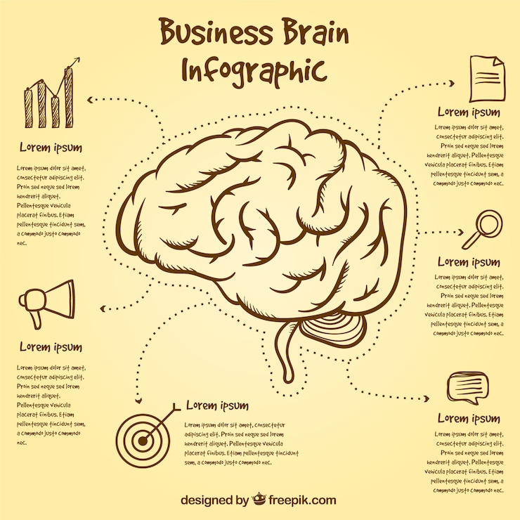 Vecteur gratuit modèle infographique cerveau avec des objets dessinés à la main
