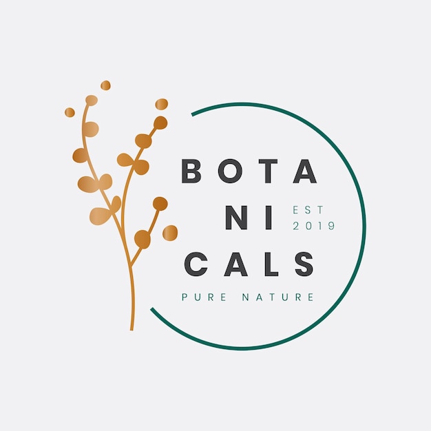 Vecteur gratuit modèle de logo d'entreprise botanique, conception esthétique pour vecteur d'entreprise organique