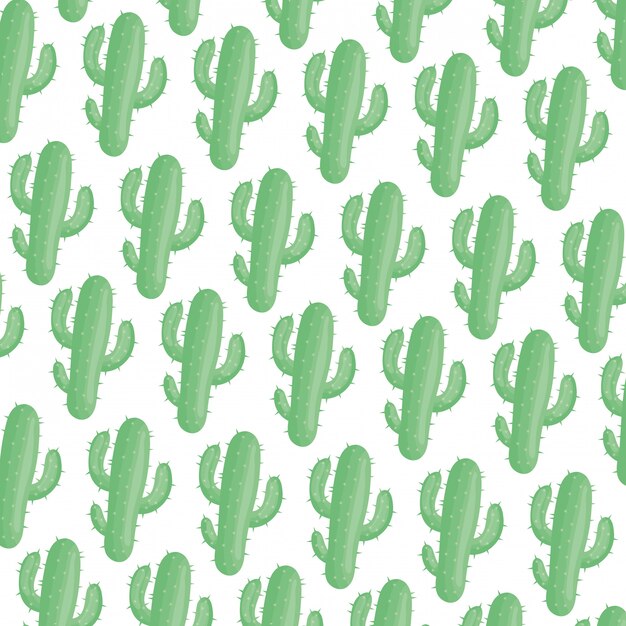 Modèle naturel de plantes de cactus exotiques