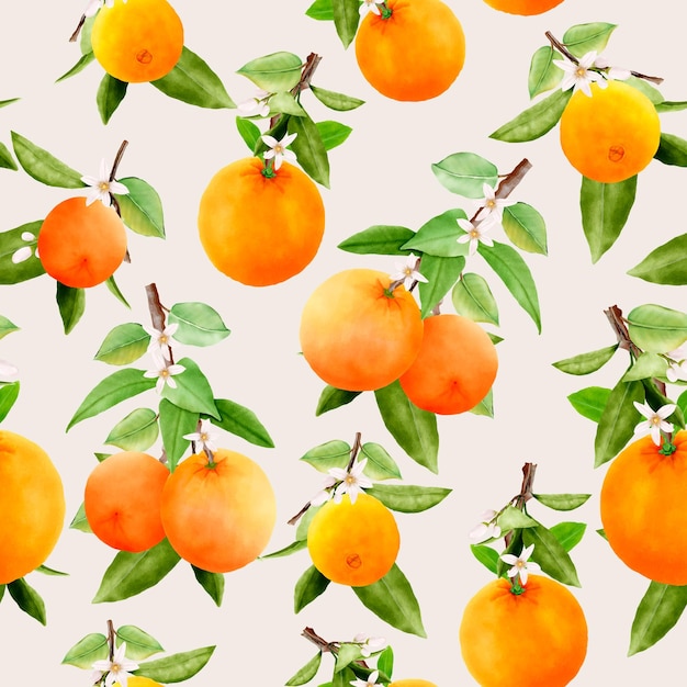 Modèle Sans Couture De Fruits Orange Dessinés à La Main