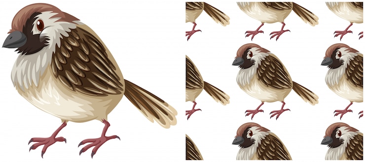 Vecteur gratuit modèle sans couture d'oiseau isolé sur blanc