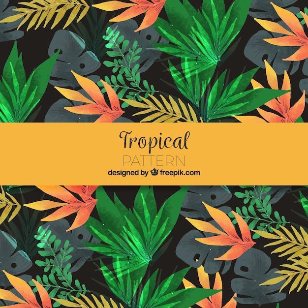 Modèle Tropical Aquarelle Coloré