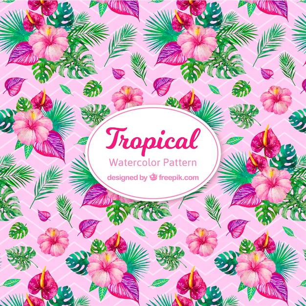 Modèle Tropical Aquarelle Coloré