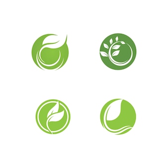 Modèle vectoriel frais de logo de plante verte de feuille