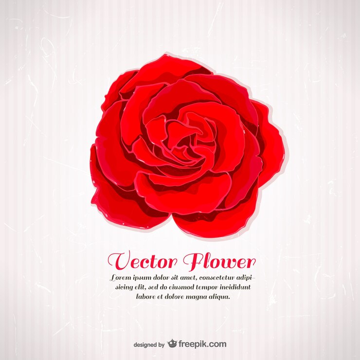 Vecteur gratuit modèle vectoriel avec une rose rouge
