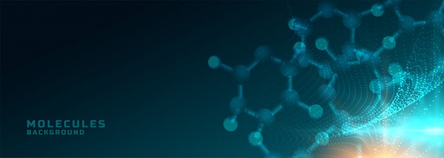 Molécules structurent la bannière de fond des sciences médicales et de la santé