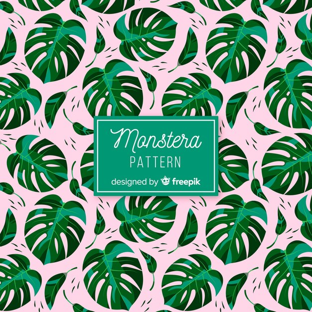 Monstera dessiné à la main feuilles fond