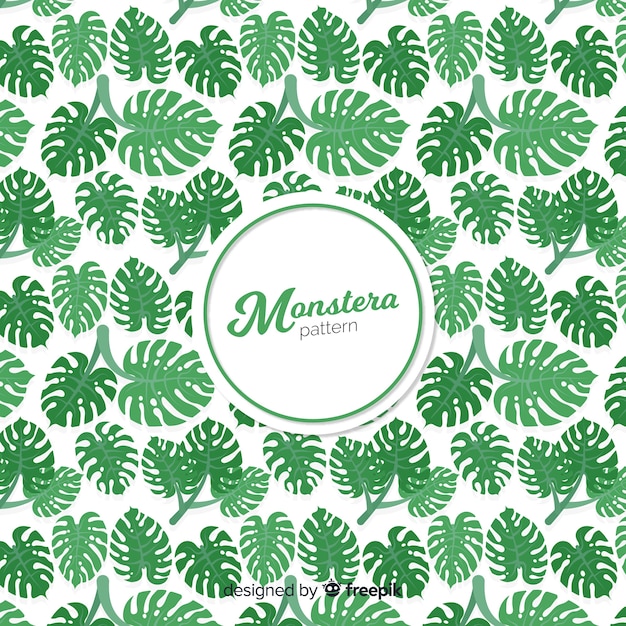 Monstera Dessiné à La Main Feuilles Fond