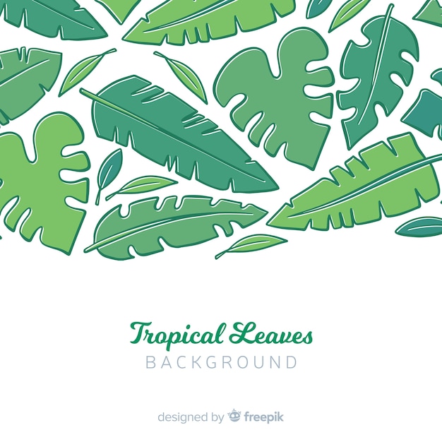 Vecteur gratuit monstera dessiné à la main feuilles fond