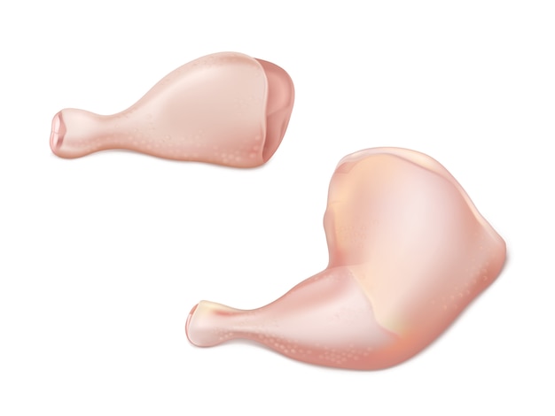 Morceaux de viande crue de volaille 3d vecteur réaliste avec poulet ou la dinde retour quart parties comme pilon et cuisse isolé sur fond blanc. Barbecue à griller, ensemble appétissant d&#39;ingrédients diète protéinée