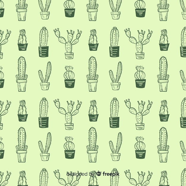 Motif De Cactus Dessiné à La Main