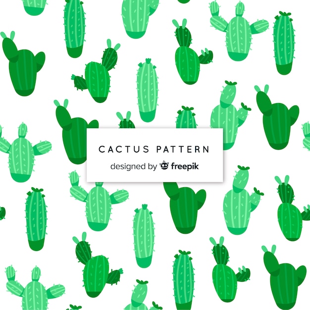 Motif De Cactus Plat