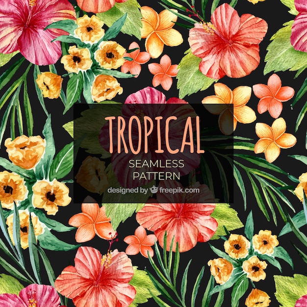 Motif d&#39;été tropical avec des fleurs aquarelles