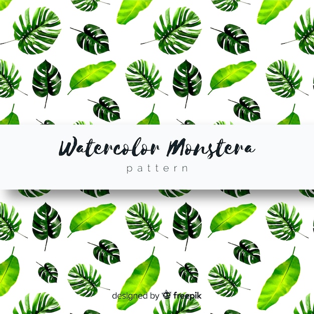 Vecteur gratuit motif de feuilles d'aquarelle monstera