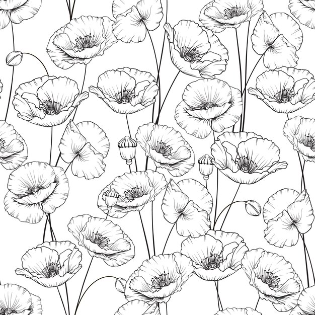 Motif de fleurs de pavot sur fond blanc Illustration vectorielle