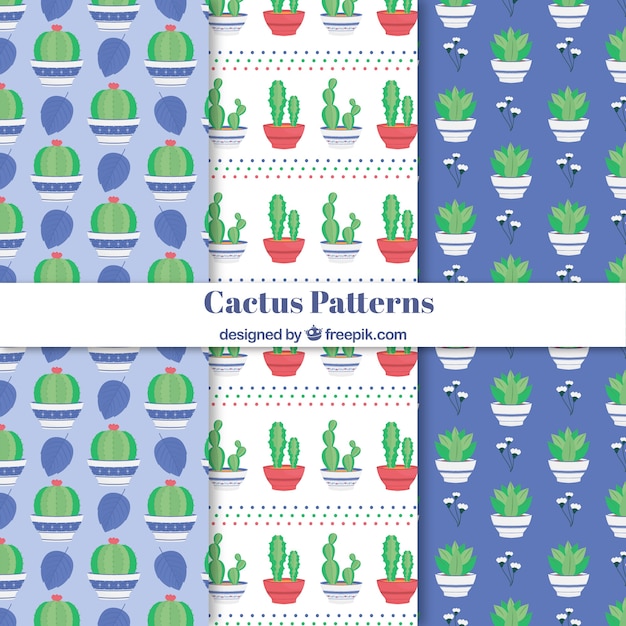 Vecteur gratuit des motifs de cactus avec un style coloré