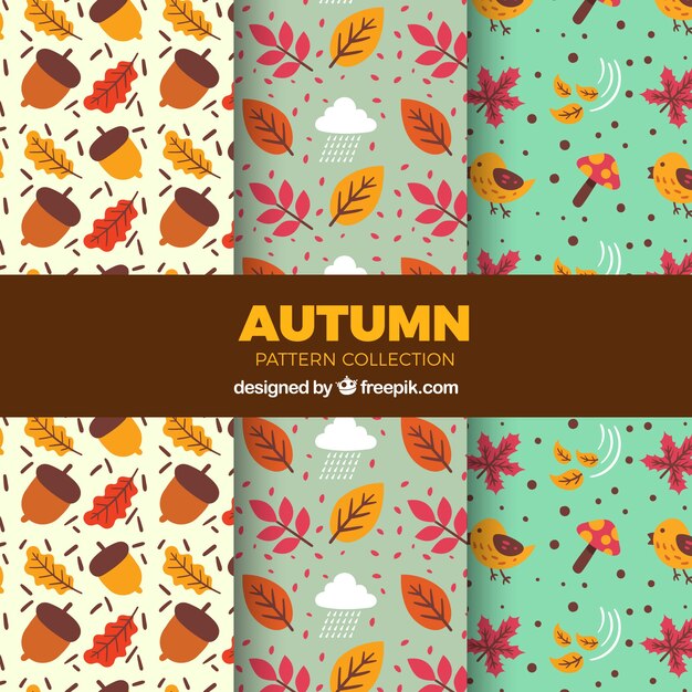 Motifs avec des éléments colorés d'automne