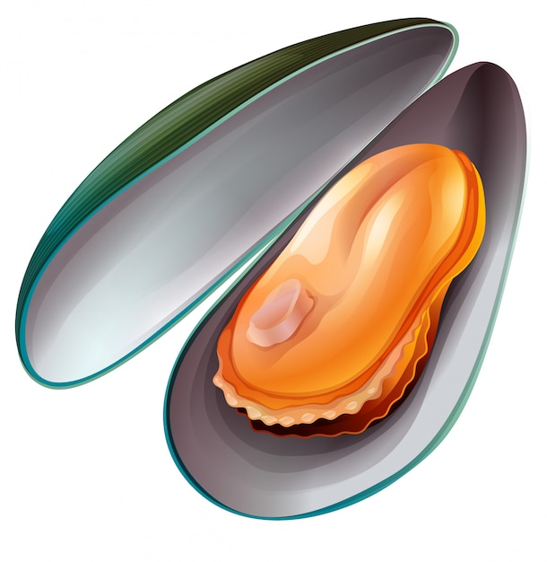 moule moulé sur blanc