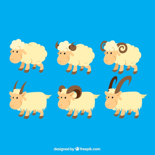 Vecteur gratuit moutons et chèvres illustration