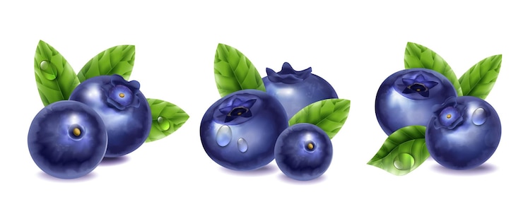 Vecteur gratuit myrtille fraîche avec des gouttes d'eau et des feuilles vertes compositions réalistes ensemble illustration vectorielle isolée