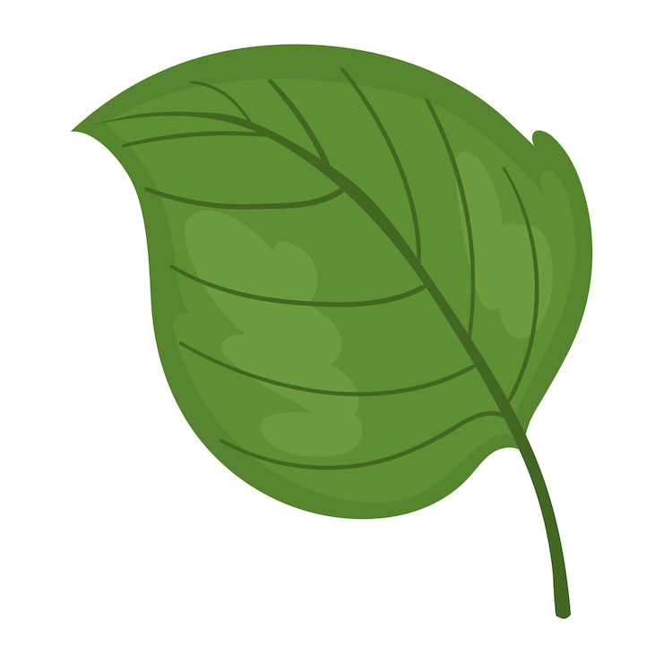 Vecteur gratuit la nature écologique des feuilles