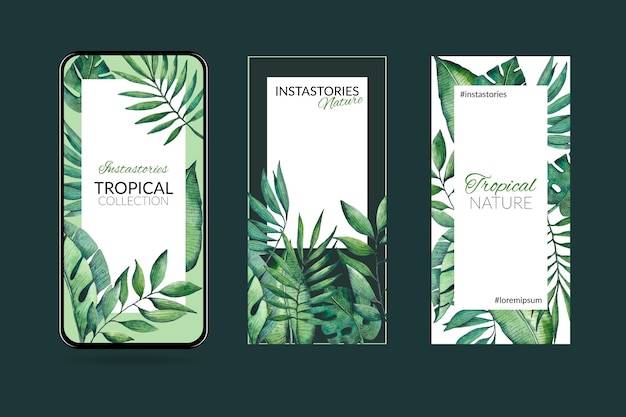 Invitation D Anniversaire Avec Des Feuilles Tropicales Vecteur Gratuite Invitation D Anniversaire Avec Des Feuilles Tropicales Vecteur Gratuite