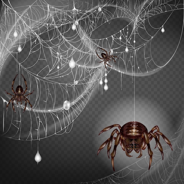 Nid d&#39;araignées dangereuses et scarifiantes