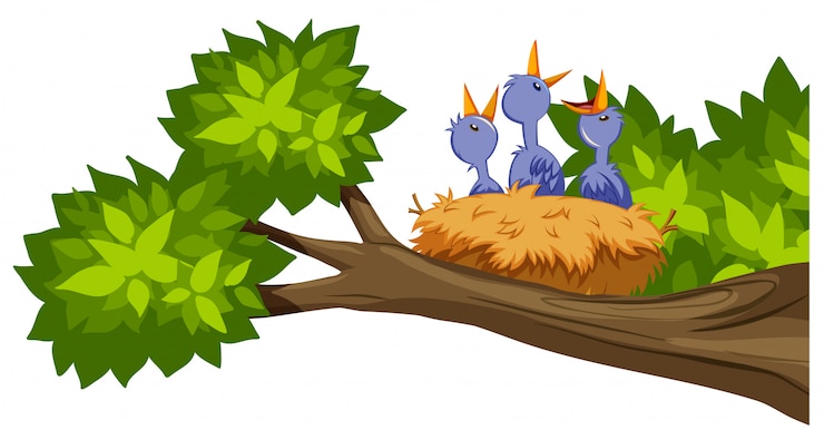 Vecteur gratuit nid d'oiseau sur une branche d'arbre