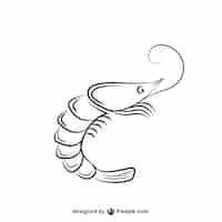 Vecteur gratuit noir et blanc crevettes illustration