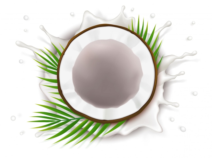 Vecteur gratuit noix de coco cassée dans les éclaboussures de lait
