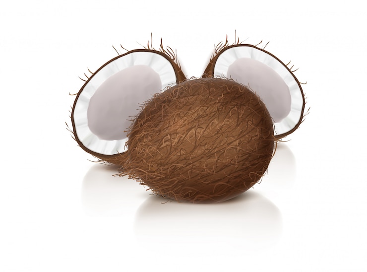 Vecteur gratuit noix de coco entière et à moitié cassée