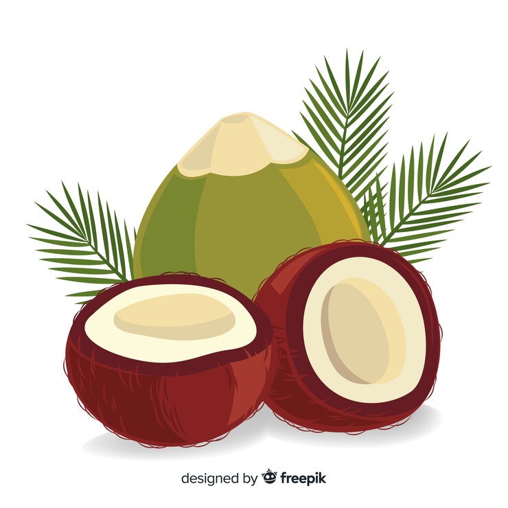 Vecteur gratuit noix de coco