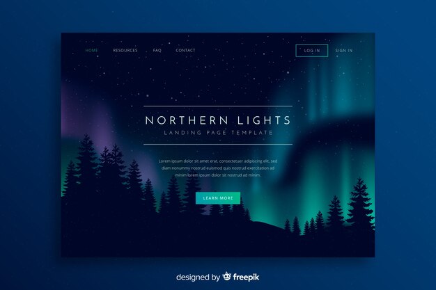 Nothern lights above forest landing page