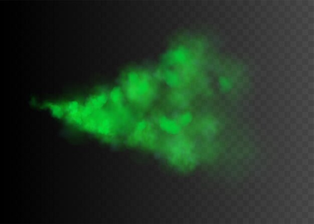 Nuage vert coloré réaliste de fumée ou de vapeur toxique toxique sur illustration vectorielle de fond transparent noir