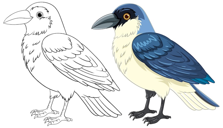 Vecteur gratuit oiseau de dessin animé debout isolé sur blanc