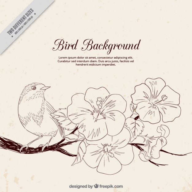Oiseau de fond avec la branche de floraison