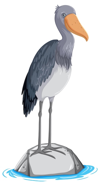 Oiseau Heron debout sur pierre sur fond blanc