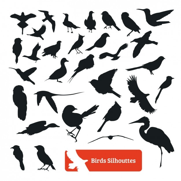 Vecteur gratuit oiseau silhouette collection