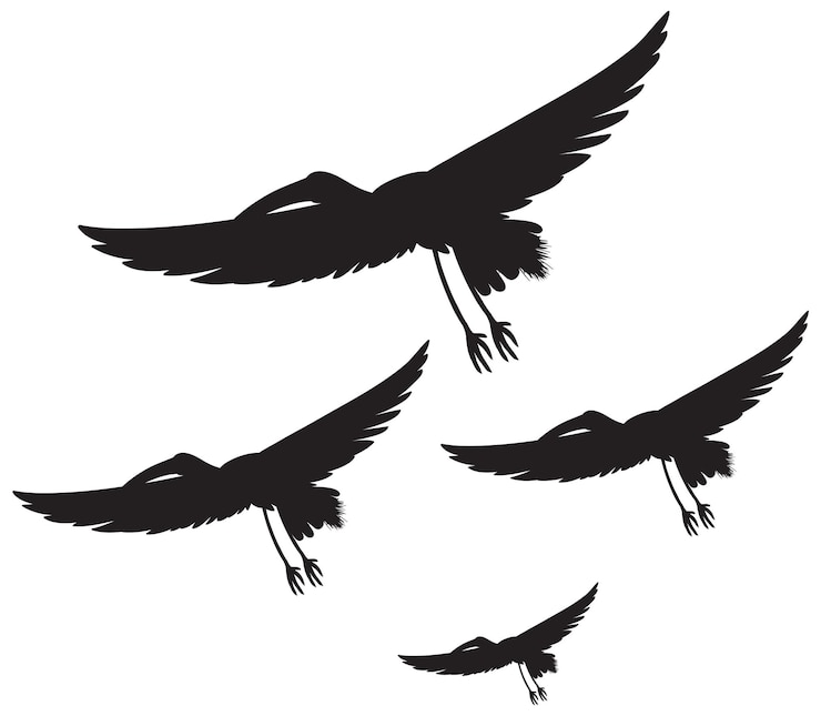 Vecteur gratuit oiseaux de cigogne silhouette volant