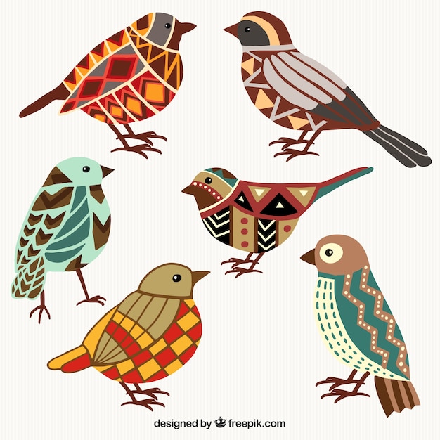 Oiseaux Colorés Dans Un Style Géométrique