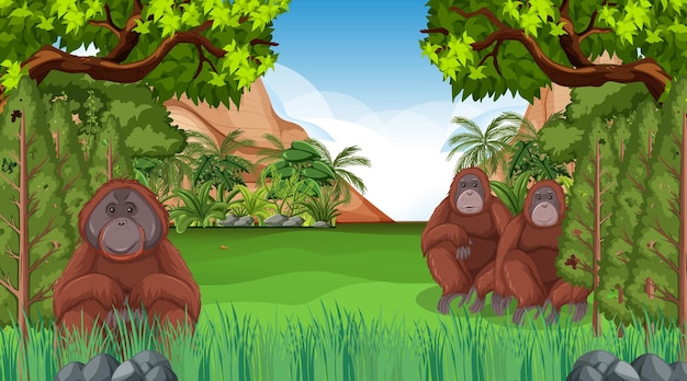 Orang-outan dans une scène de forêt ou de forêt tropicale avec de nombreux arbres
