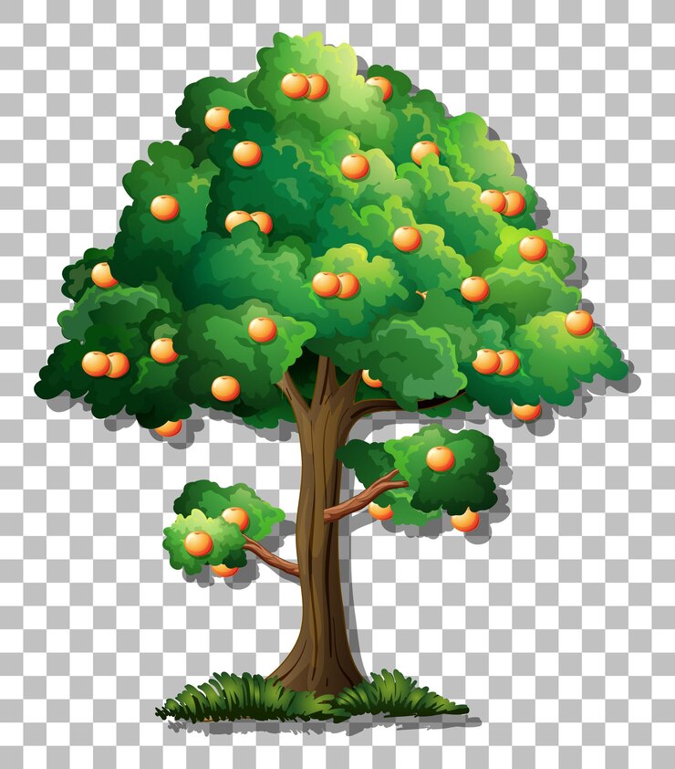Vecteur gratuit un orange sur un fond transparent
