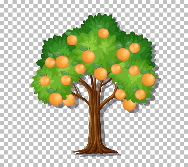 Vecteur gratuit un orange sur un fond transparent