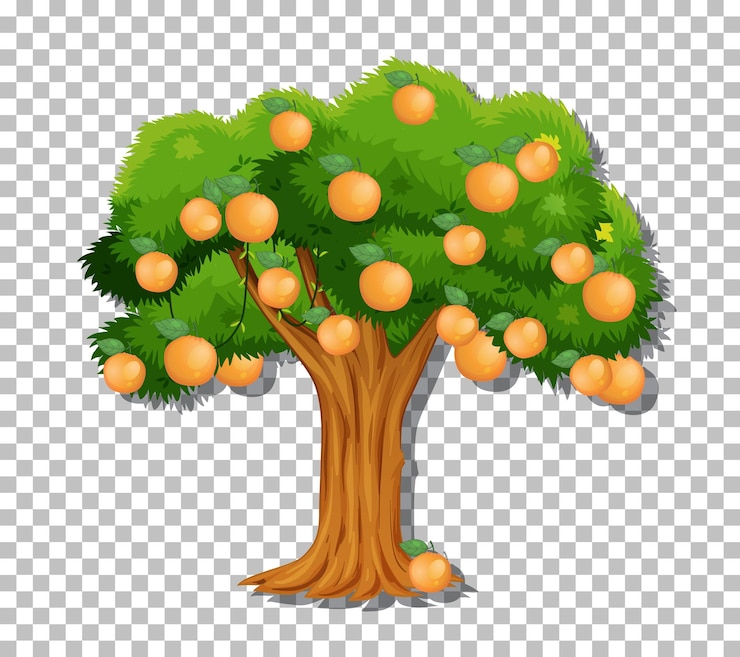 Vecteur gratuit un orange sur un fond transparent
