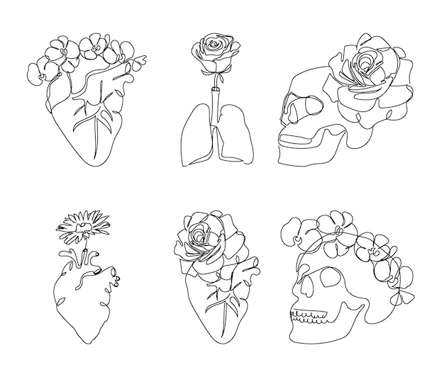 Organes internes humains avec des fleurs un ensemble d'art. dessin au trait continu des poumons cardiaques, du crâne et de la floraison. illustration vectorielle dessinés à la main, tatouage de ligne.