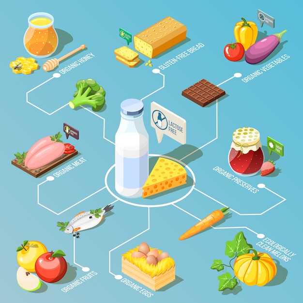 Organigramme isométrique des aliments biologiques