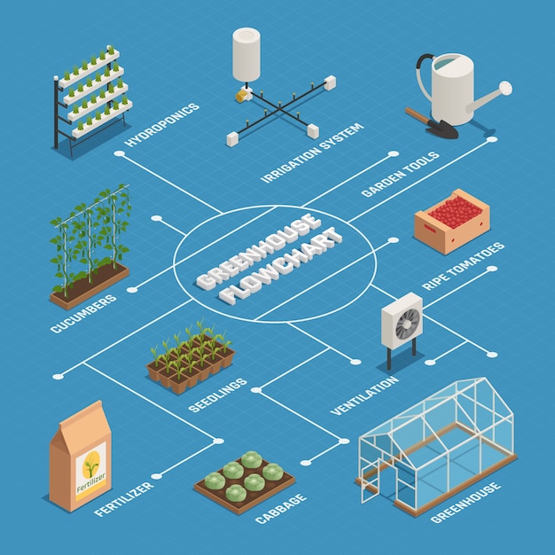 Vecteur gratuit organigramme isométrique de la production des installations de serre